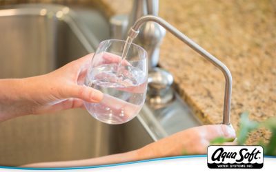 Water Softening vs. Water Filtration: What’s the Difference?