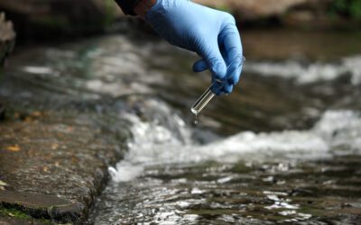 Why are Water Quality Standards Important?